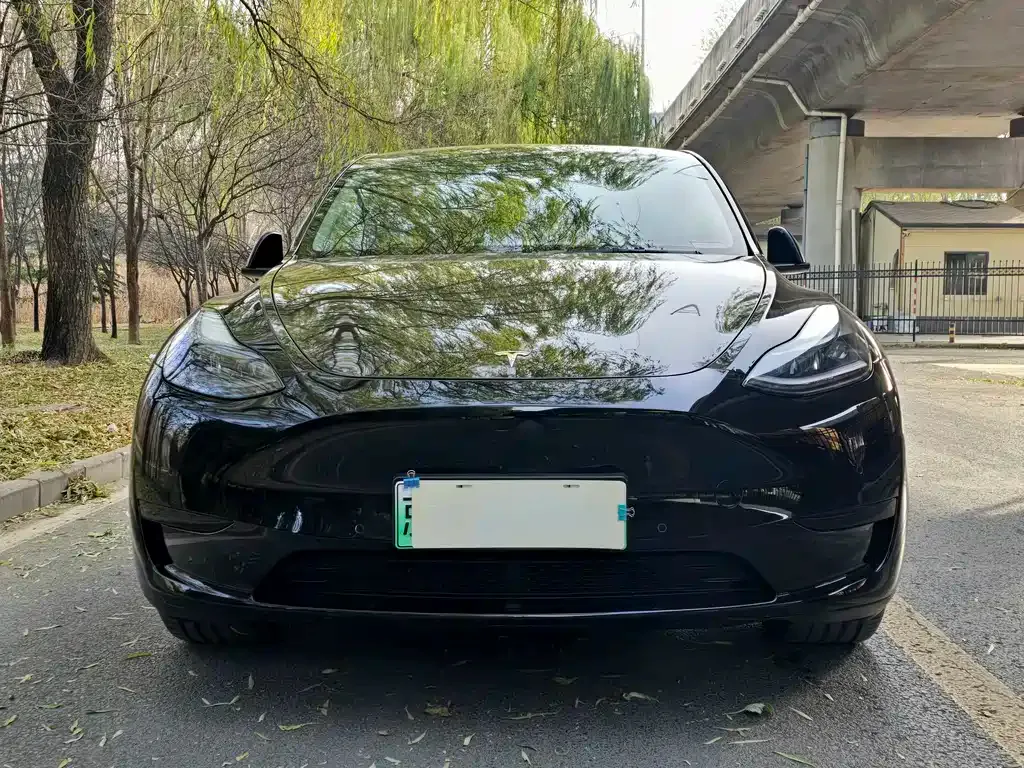 Tesla Model Y — фото 2