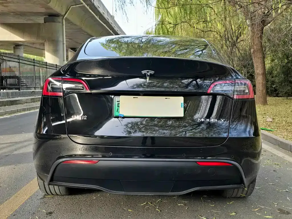 Tesla Model Y — фото 4