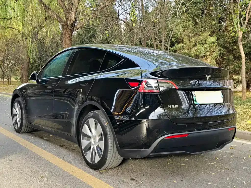 Tesla Model Y — фото 5