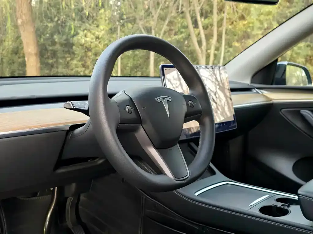 Tesla Model Y — фото 9