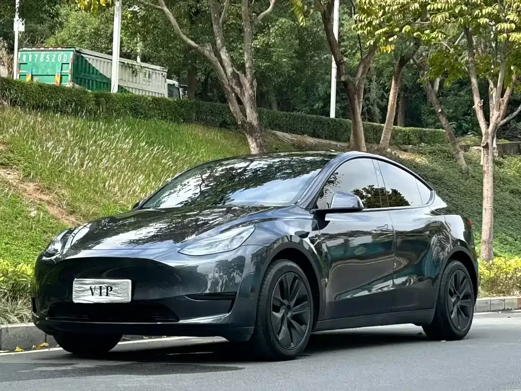 Tesla Model Y — фото 1