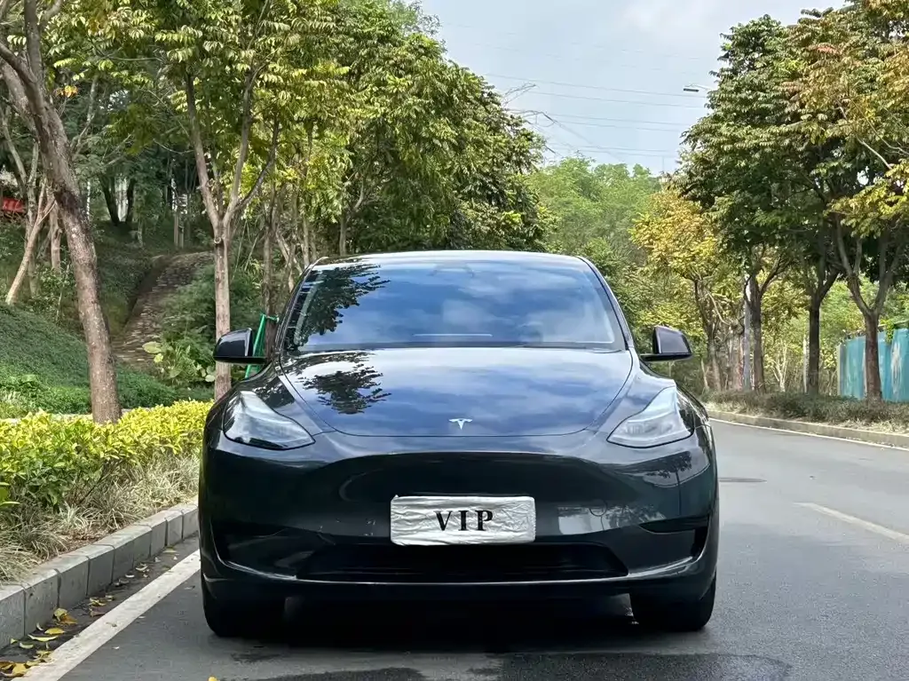 Tesla Model Y — фото 6