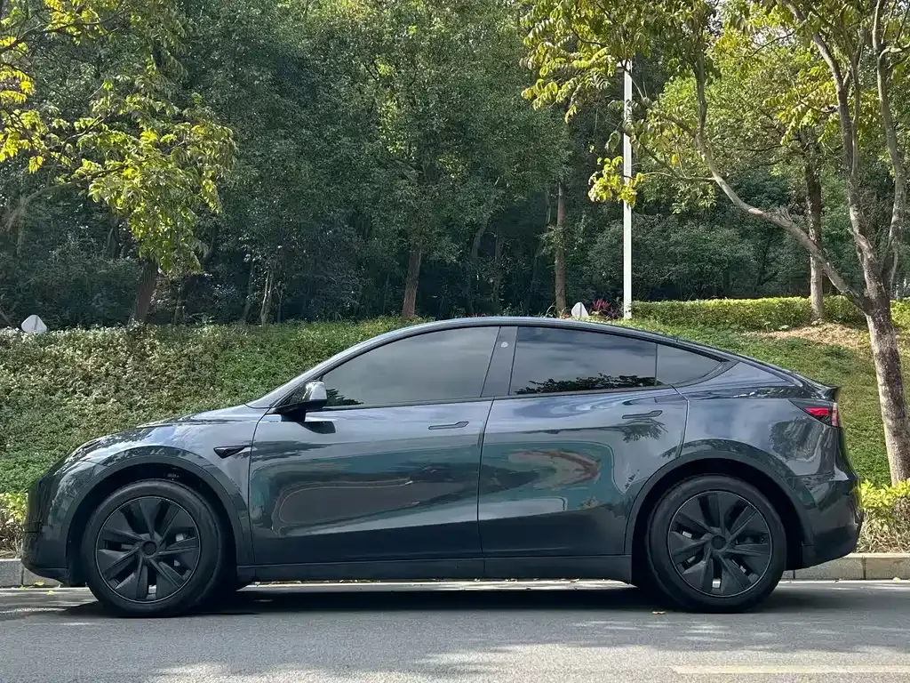Tesla Model Y — фото 10