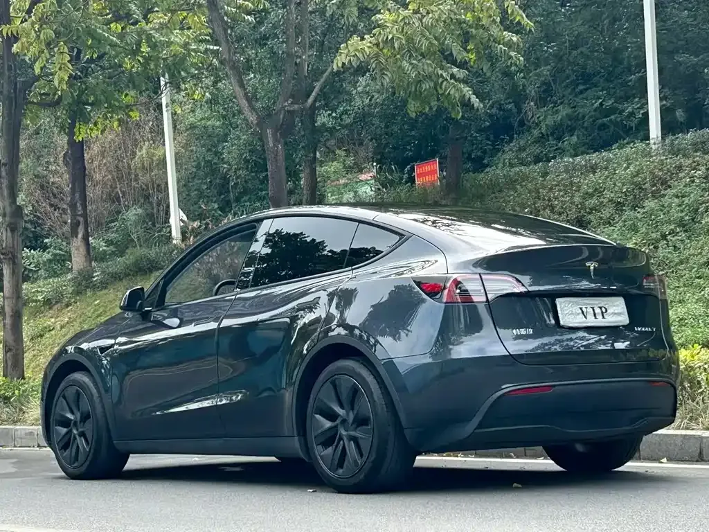 Tesla Model Y — фото 7
