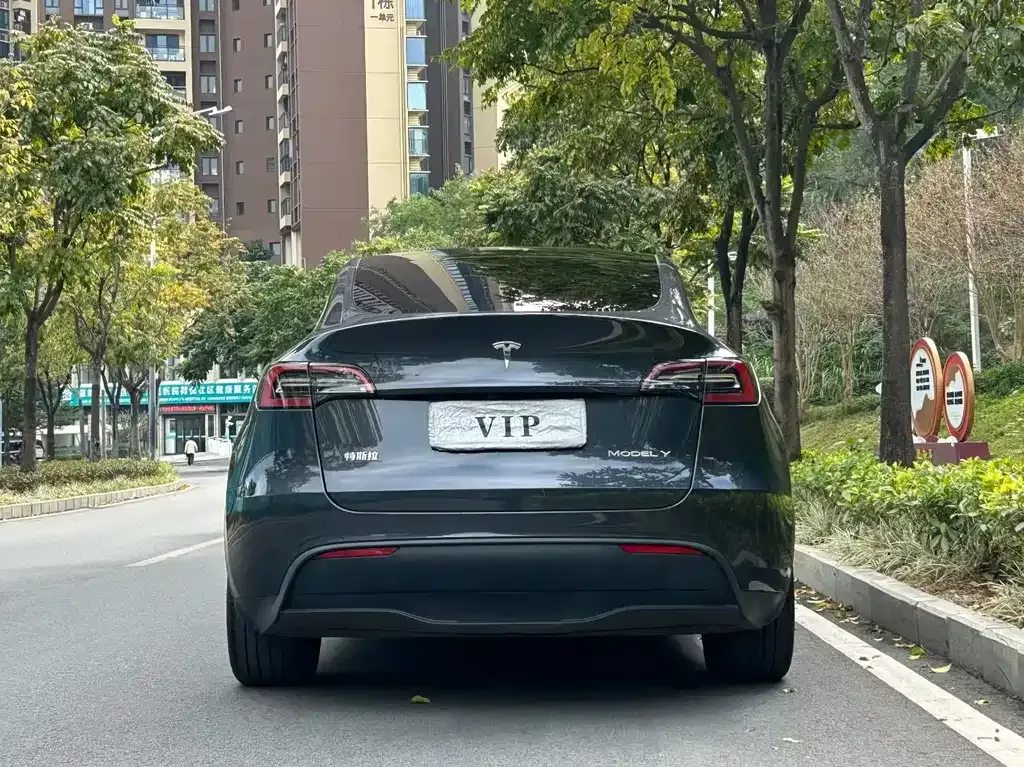 Tesla Model Y — фото 9