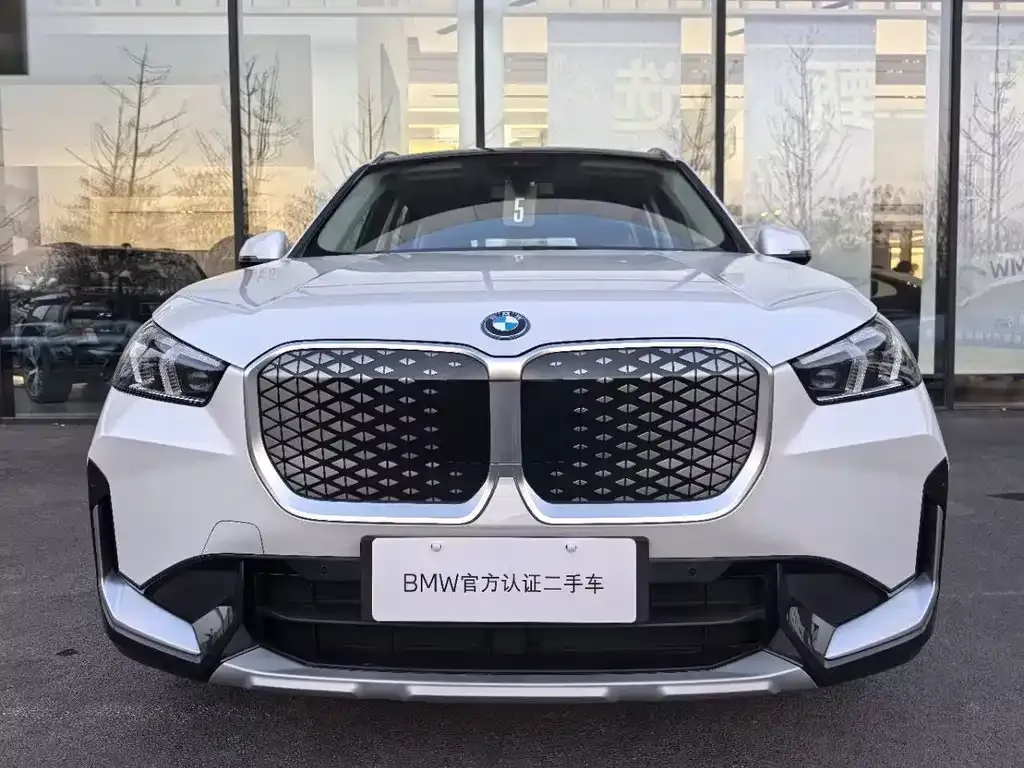 [object Object] iX1 2025 из CN, фото 4