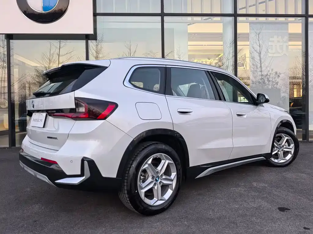 [object Object] iX1 2025 из CN, фото 6