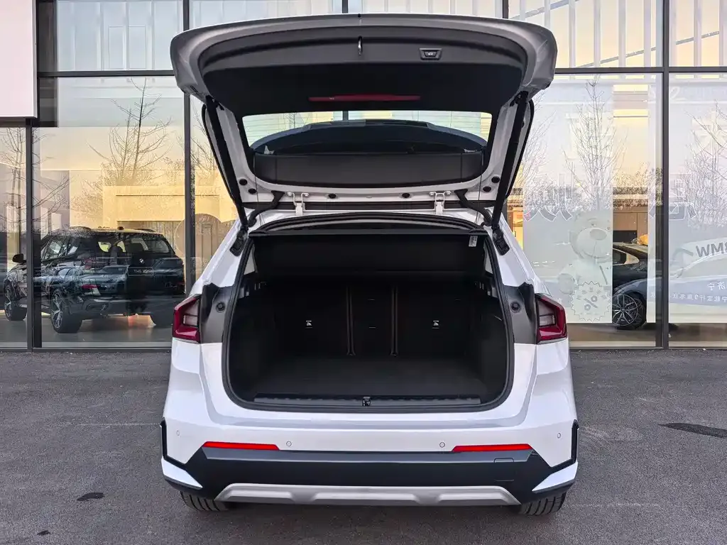 [object Object] iX1 2025 из CN, фото 8