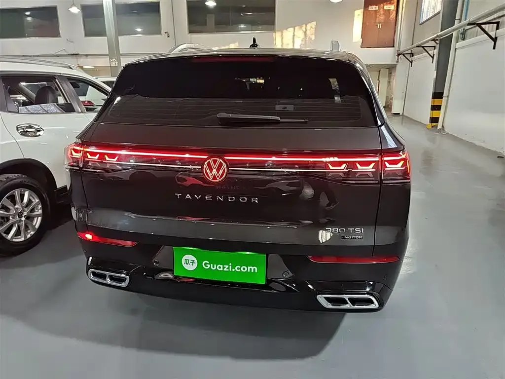 Volkswagen Tavendor 2023 из CN, фото 9