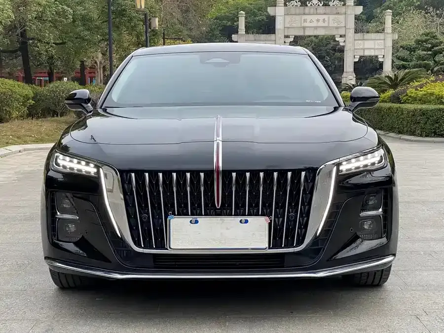 Hongqi H5 2023 из CN, фото 2