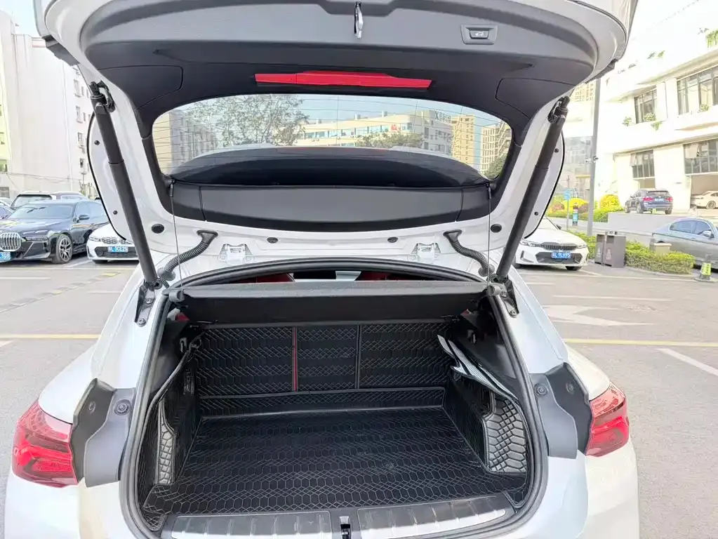 BMW X2 2021 из CN, фото 7