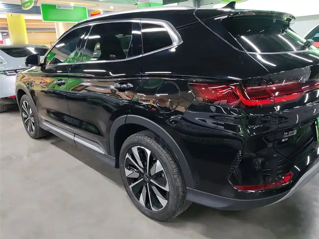 BYD PLUS New Energy — фото 5