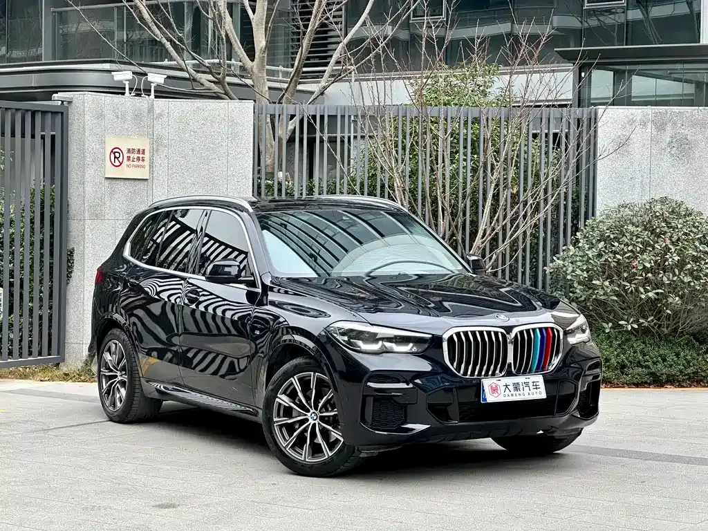 BMW X5 (Import) — фото 9