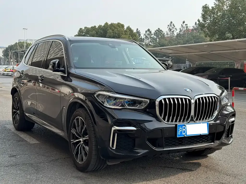 BMW X5 — фото 10