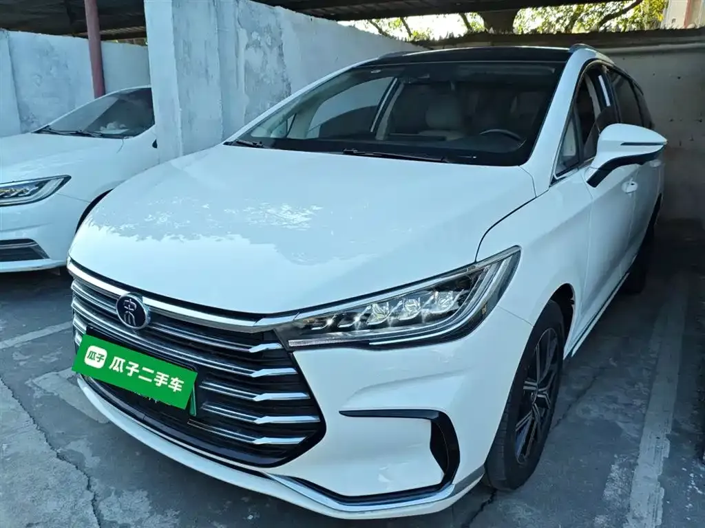 BYD MAX New Energy 2023 из CN, фото 2