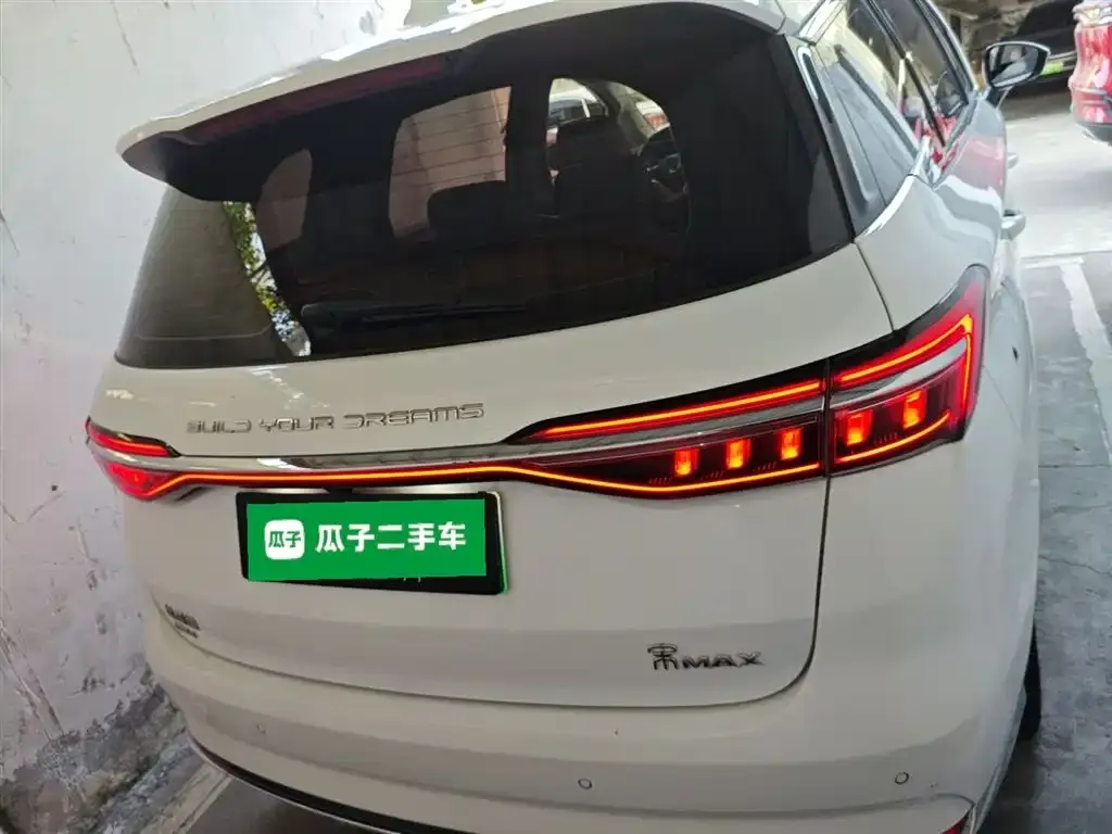 BYD MAX New Energy 2023 из CN, фото 6