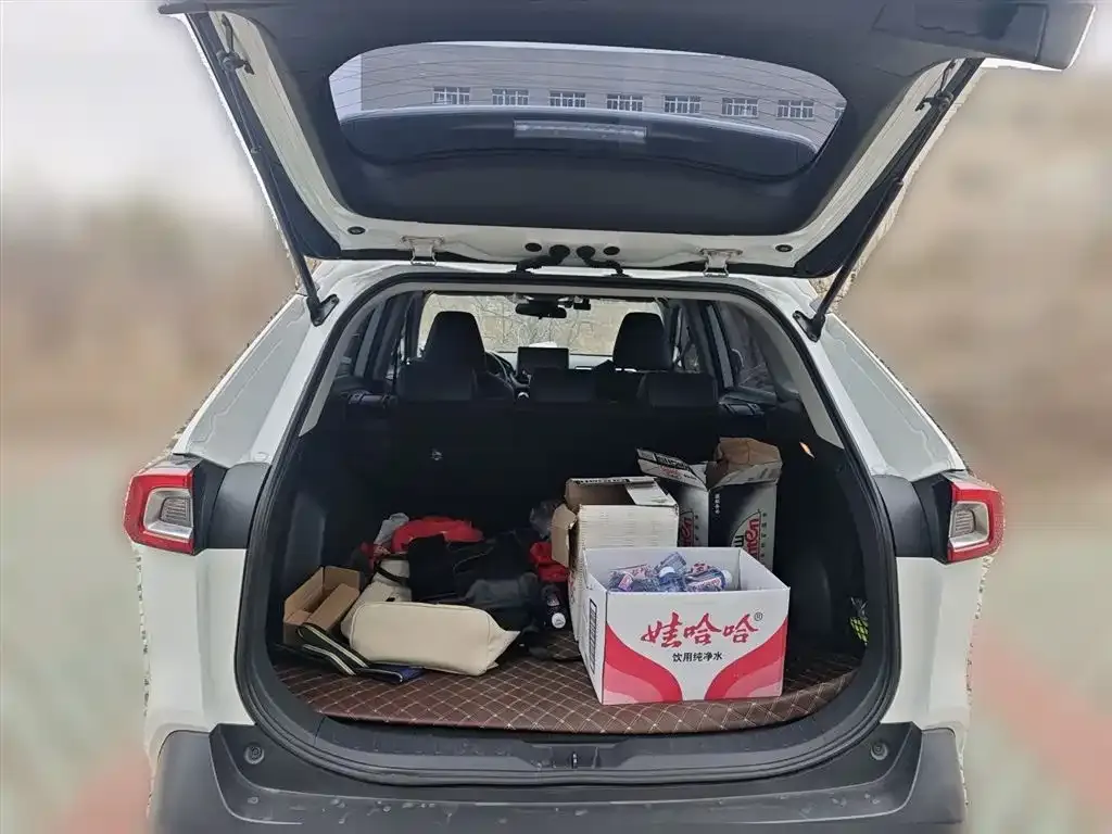 Toyota Wildlander 2021 из CN, фото 10