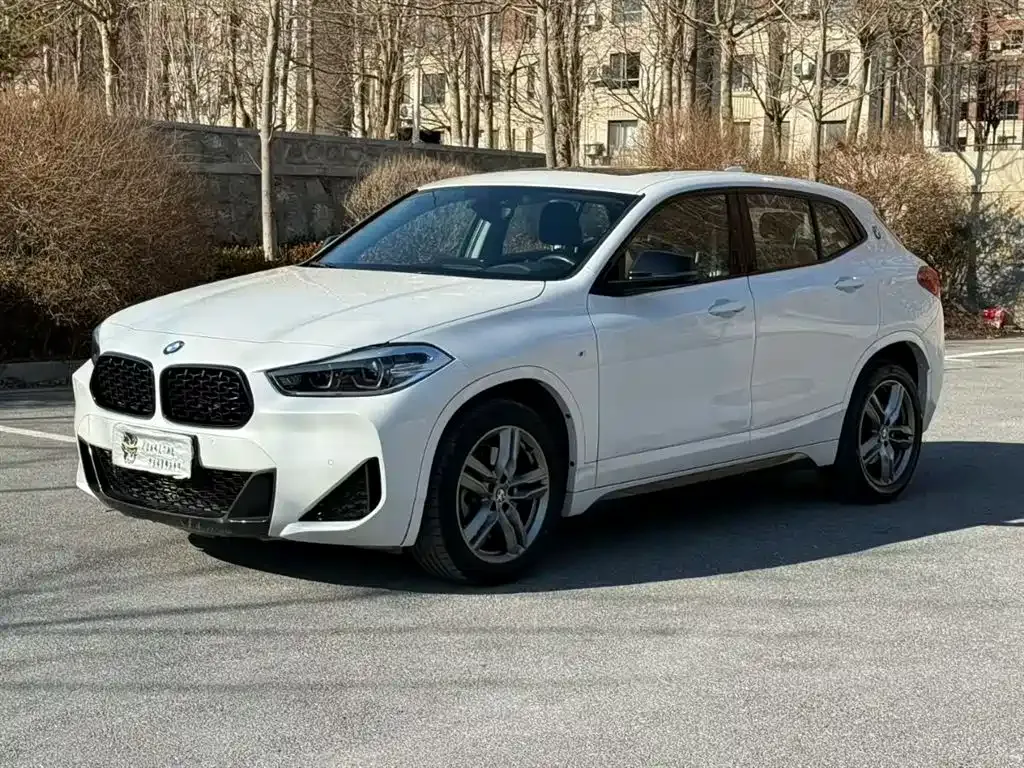 BMW X2 — фото 1
