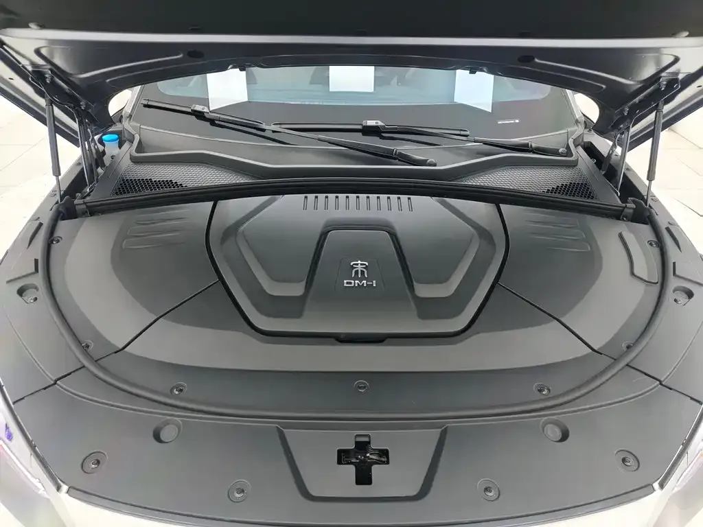 BYD PLUS New Energy 2023 из CN, фото 9
