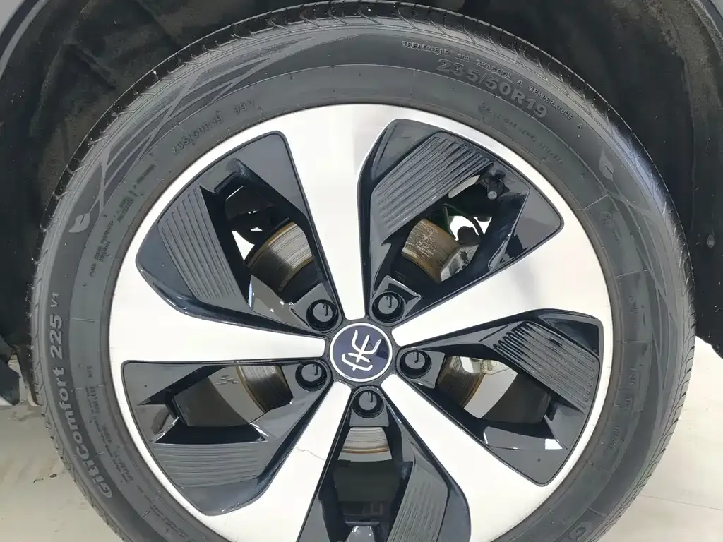 BYD PLUS New Energy 2023 из CN, фото 6