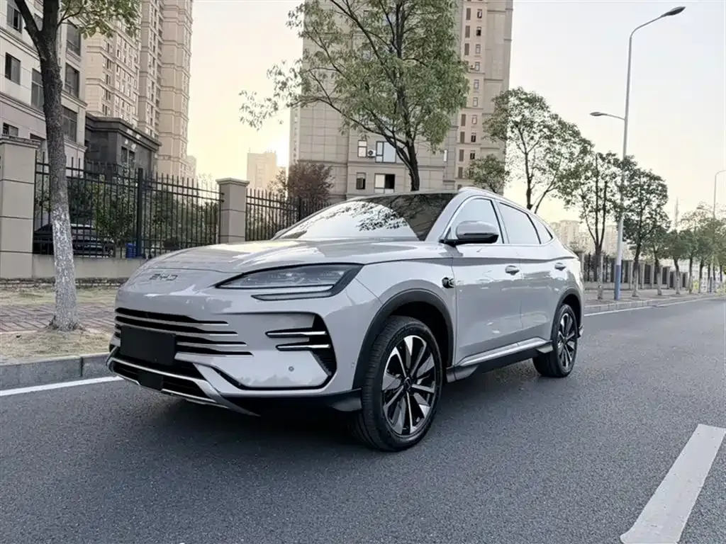 BYD PLUS New Energy — фото 10