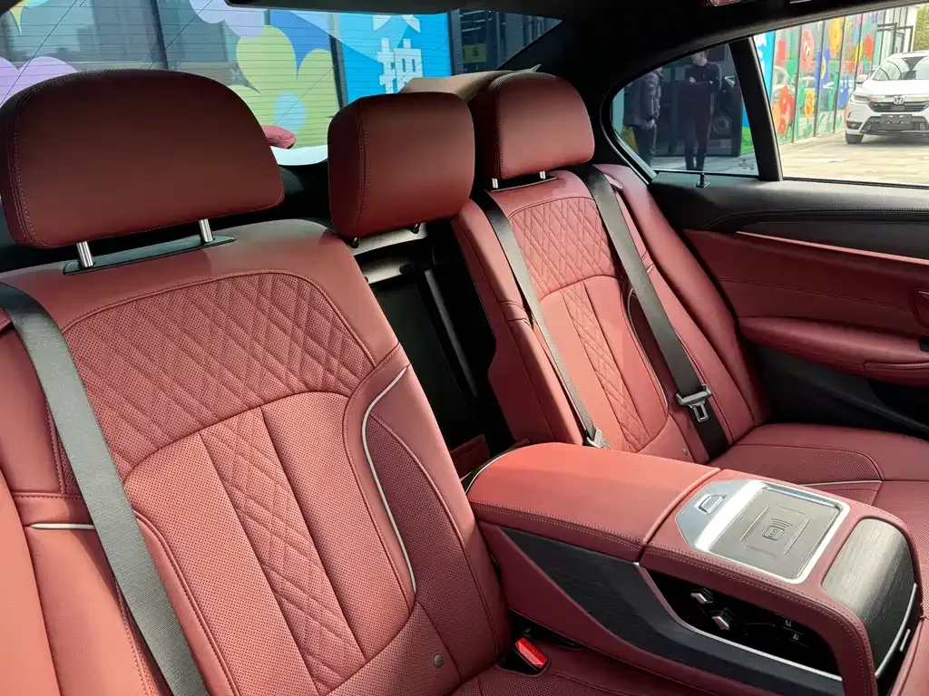 BMW 5 Series 2023 из CN, фото 8