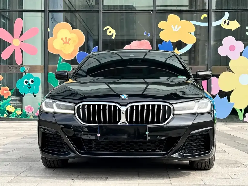 BMW 5 Series 2023 из CN, фото 10