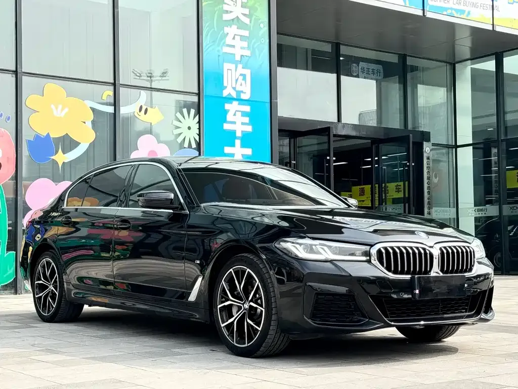 BMW 5 Series 2023 из CN, фото 5