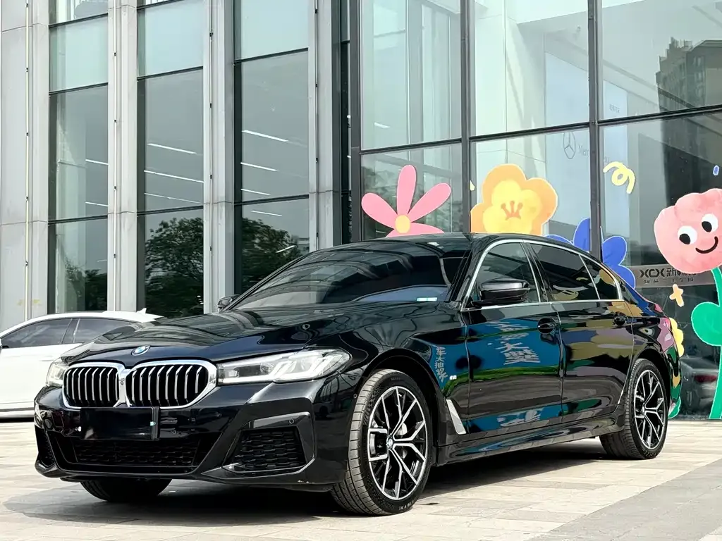 BMW 5 Series 2023 из CN, фото 9