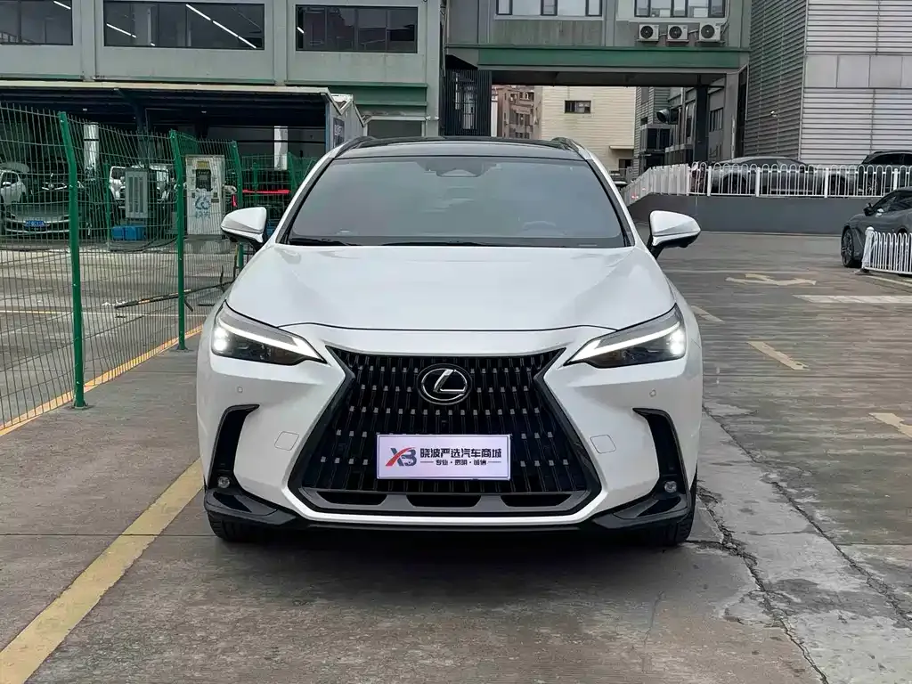Lexus NX 2021 из CN, фото 6