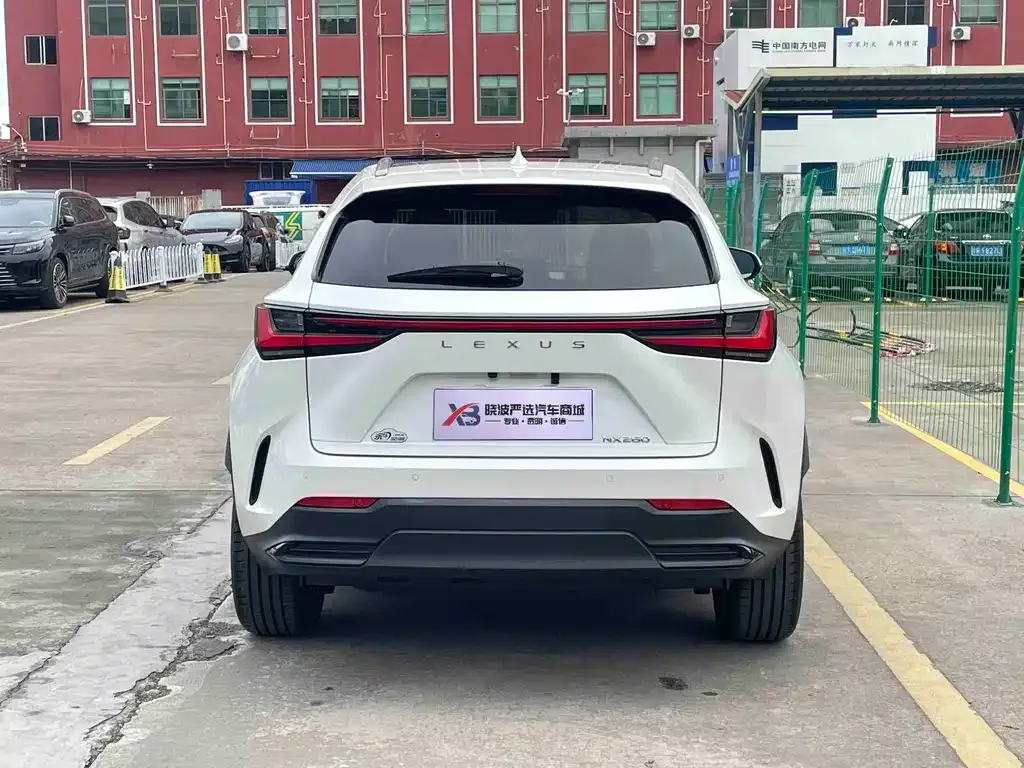 Lexus NX 2021 из CN, фото 10