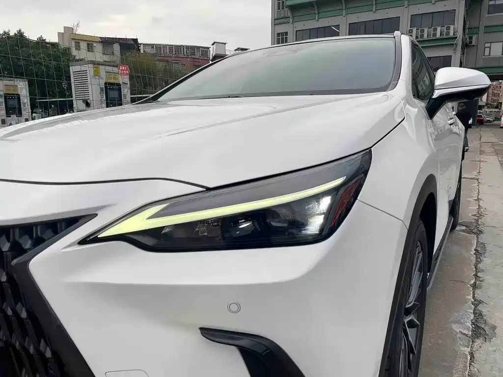 Lexus NX 2021 из CN, фото 4