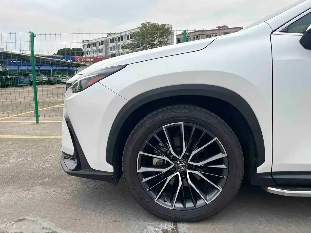 Lexus NX 2021 из CN, фото 7