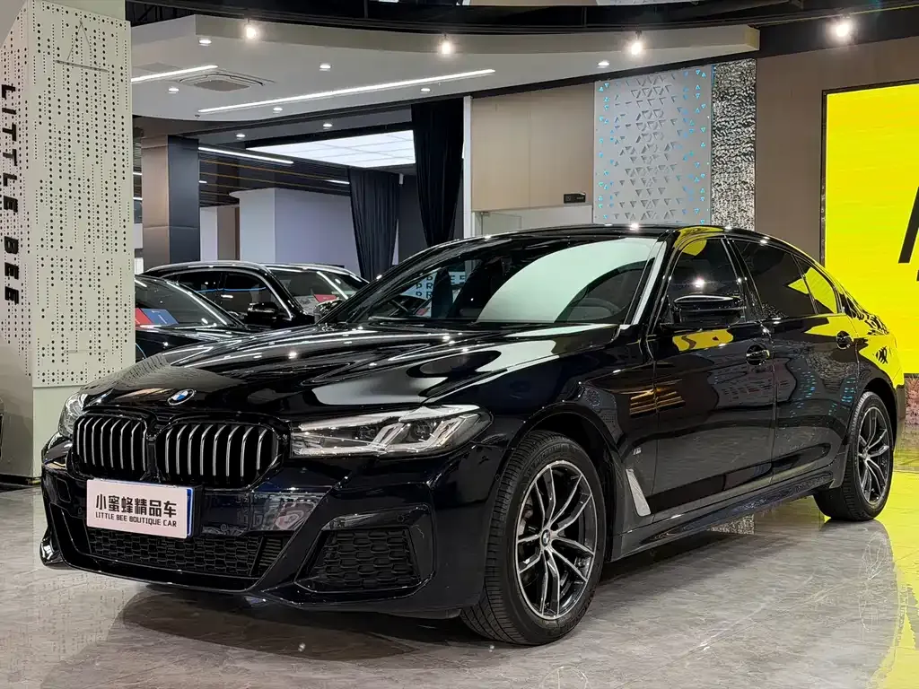 BMW 5 Series 2023 из CN, фото 1