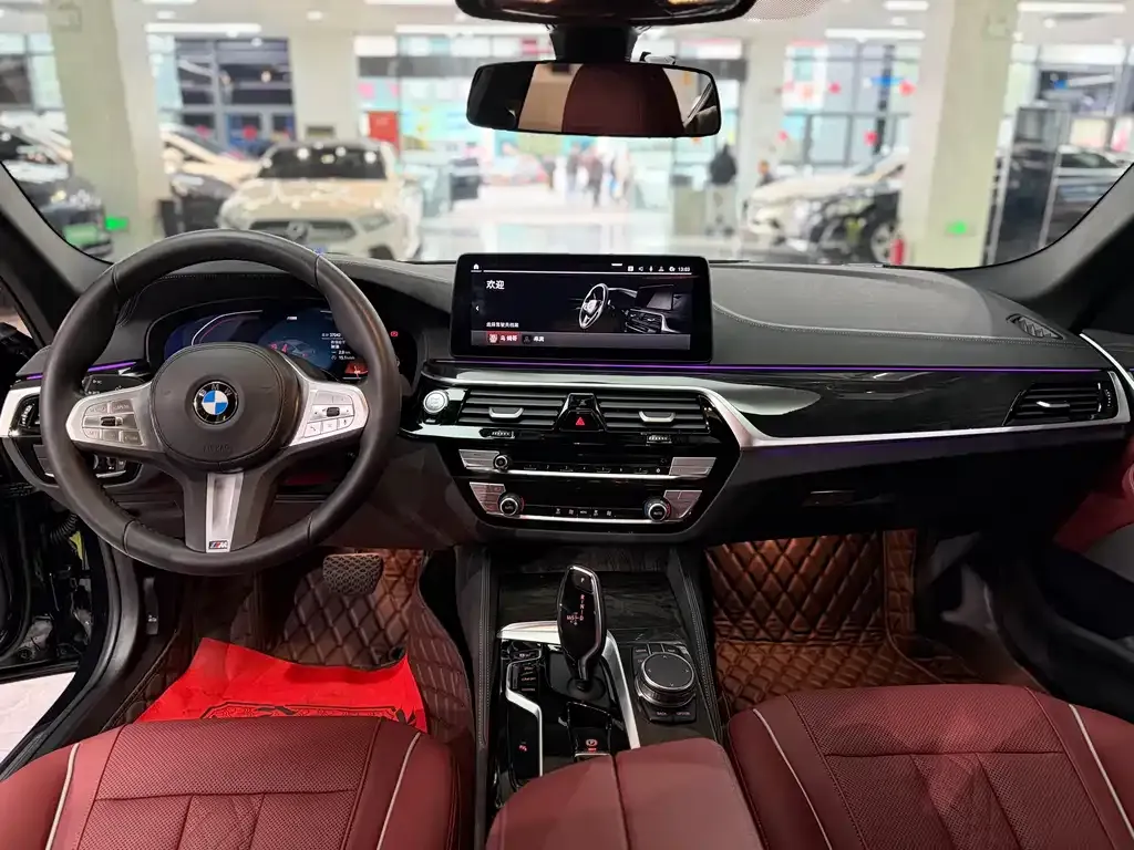 BMW 5 Series 2023 из CN, фото 4