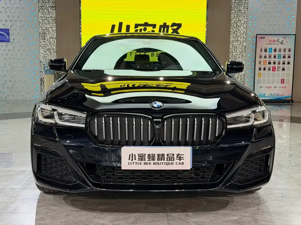 BMW 5 Series 2023 из CN, фото 6