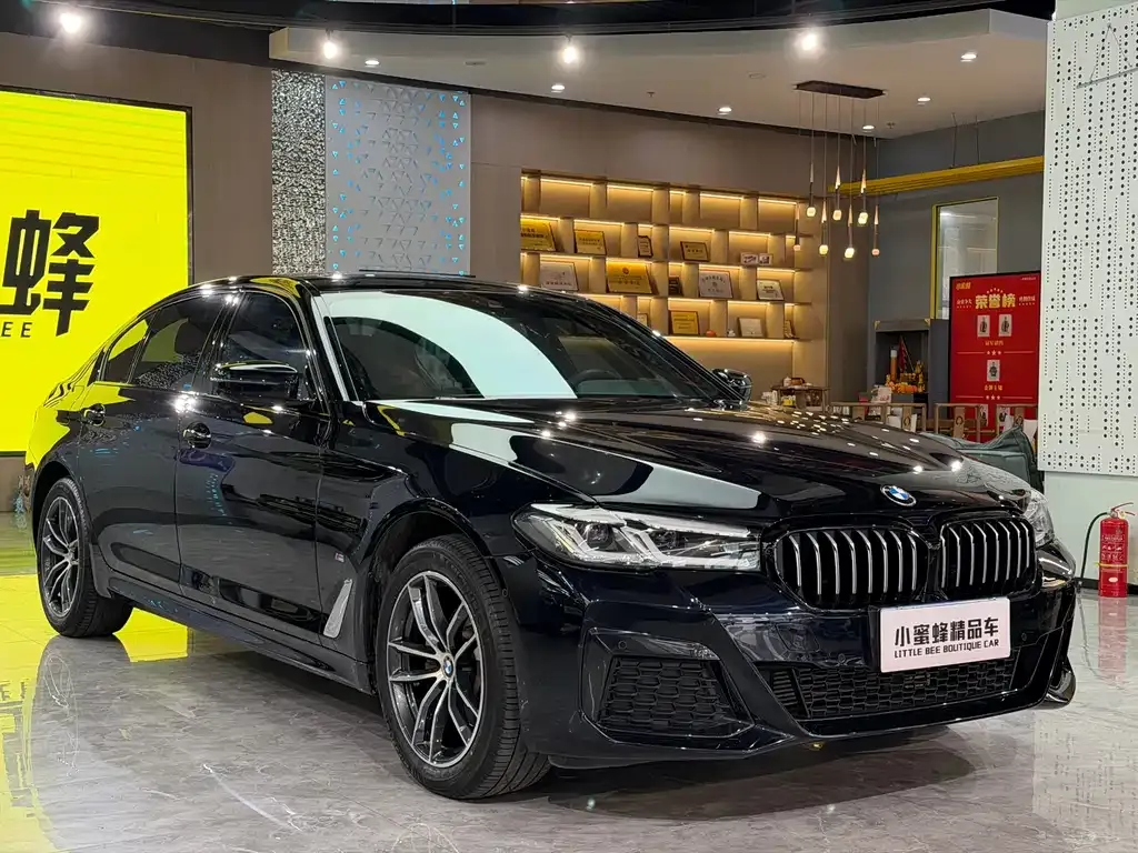 BMW 5 Series 2023 из CN, фото 7