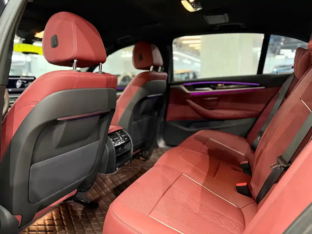 BMW 5 Series 2023 из CN, фото 9