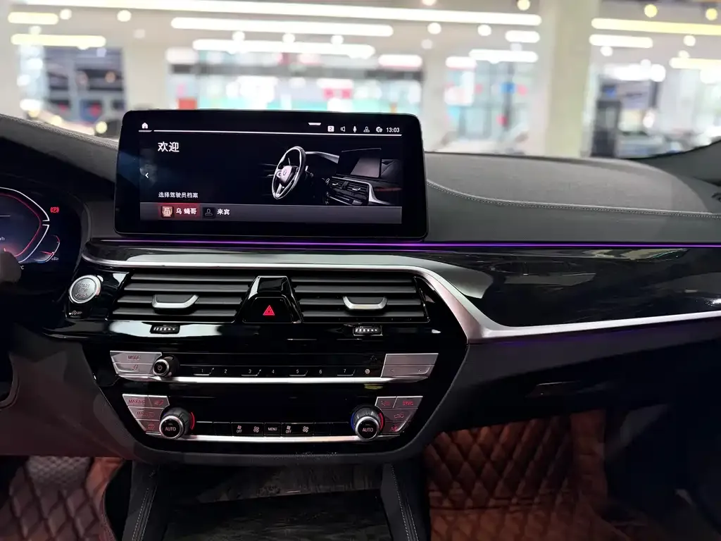 BMW 5 Series 2023 из CN, фото 5