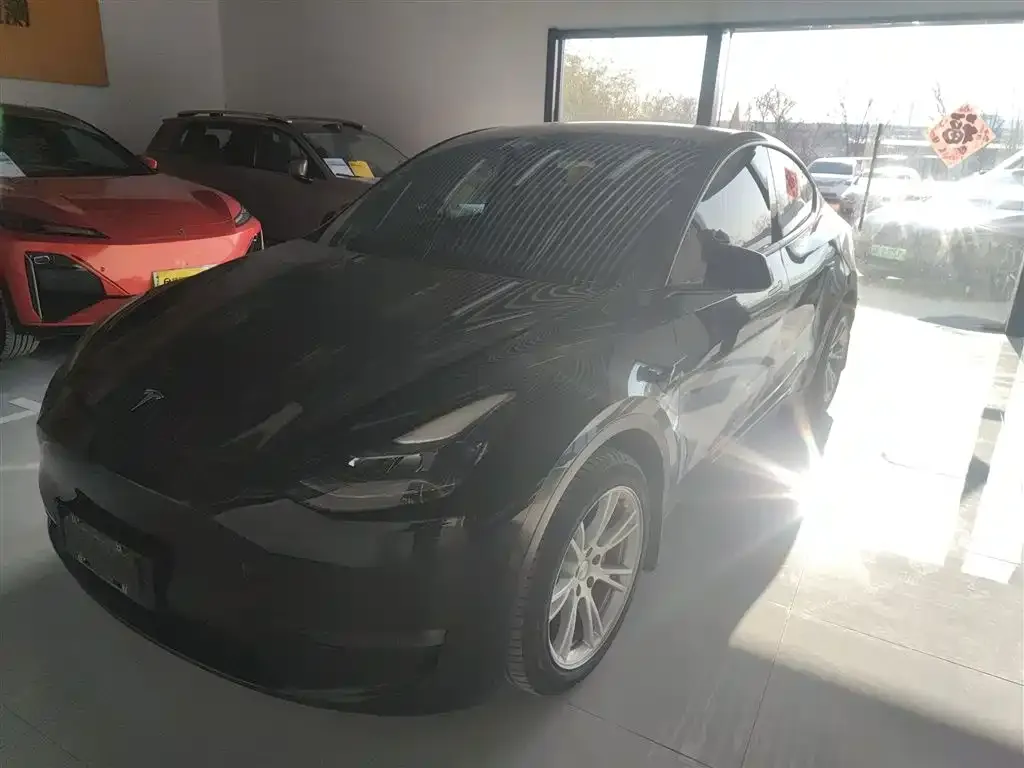 Tesla Model Y — фото 3