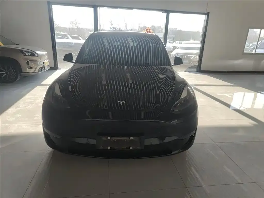 Tesla Model Y — фото 8