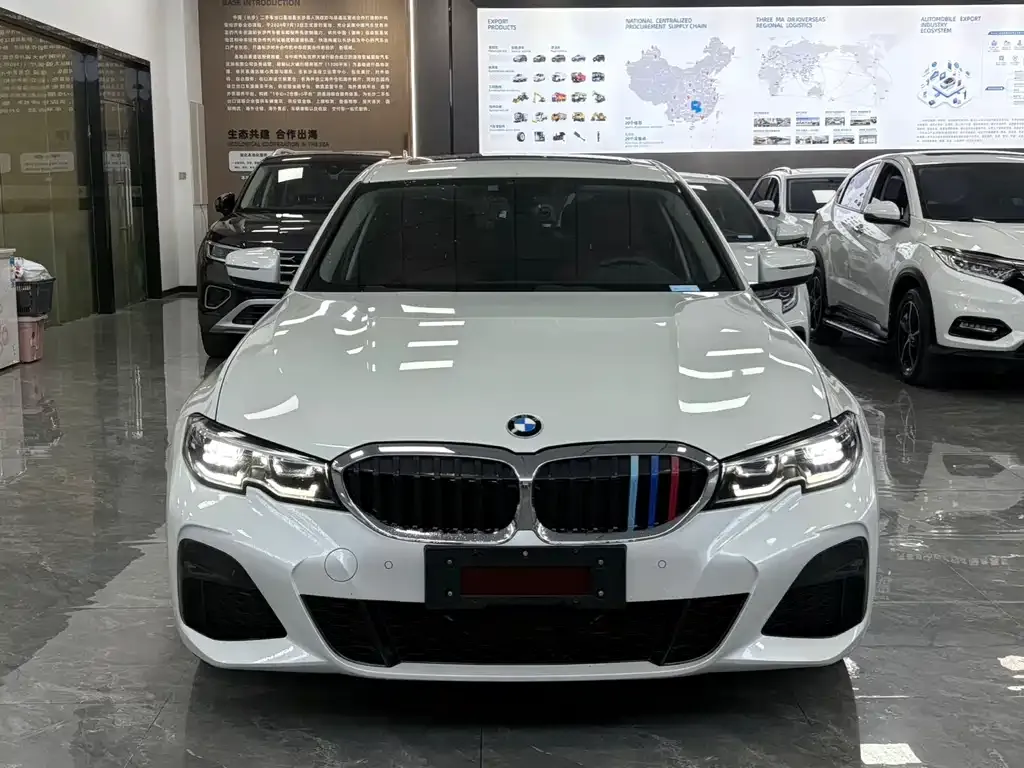 BMW 3 Series 2021 из CN, фото 7