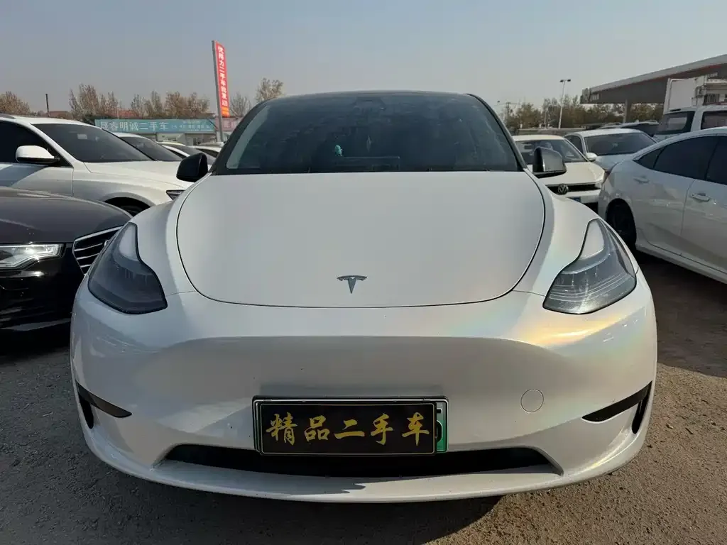 Tesla Model Y — фото 6