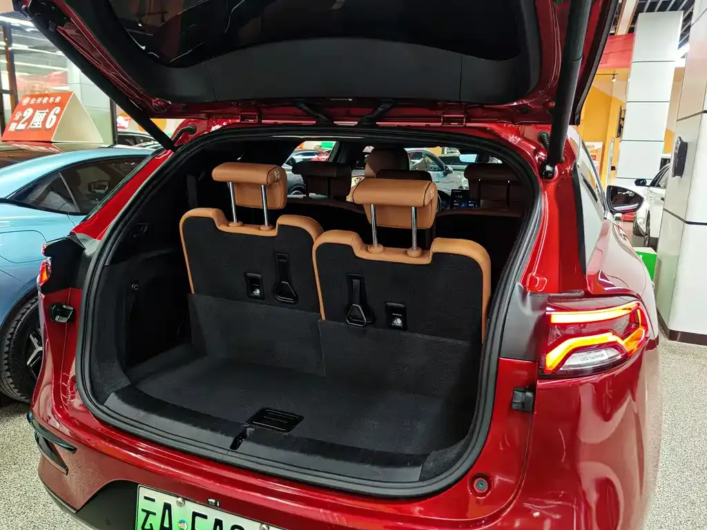 BYD Tang New Energy 2023 из CN, фото 6