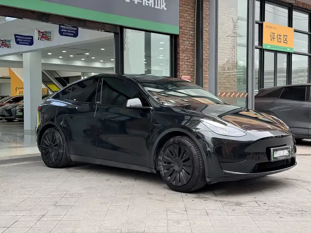 Tesla Model Y — фото 3