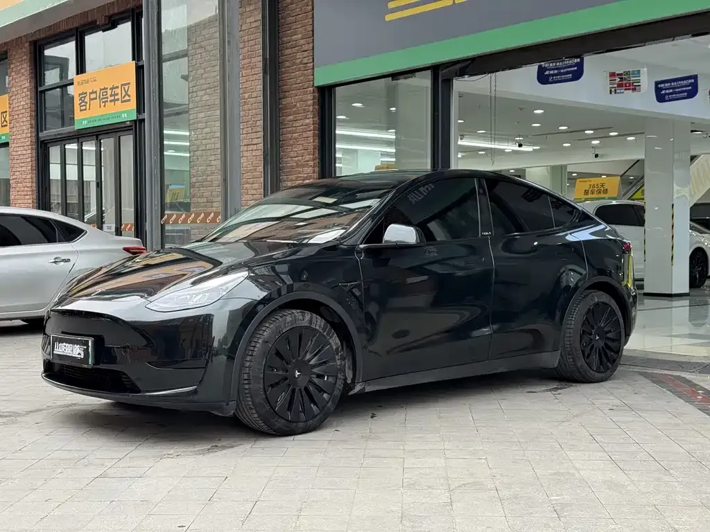Tesla Model Y — фото 4