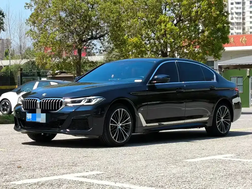 BMW 5 Series 2022 из CN, фото 1