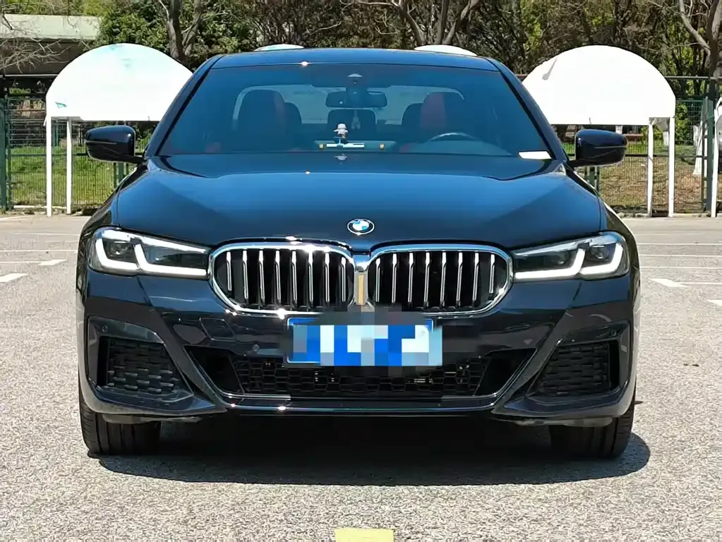 BMW 5 Series 2022 из CN, фото 7