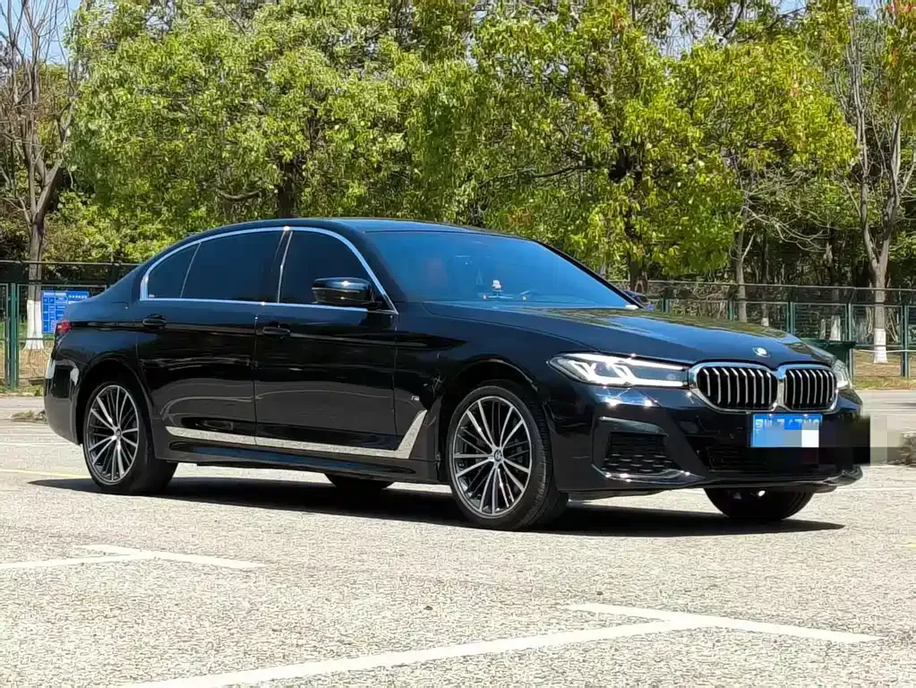 BMW 5 Series 2022 из CN, фото 9
