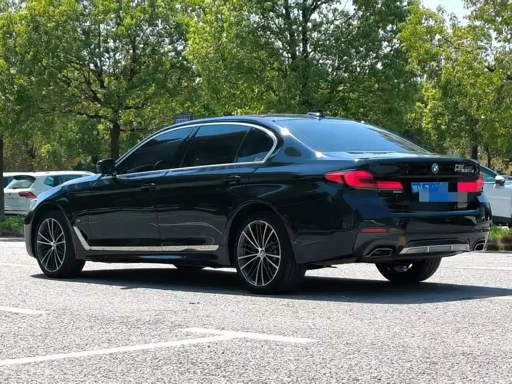 BMW 5 Series 2022 из CN, фото 8